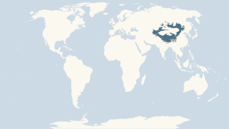 Map of distribution of the bar-headed goose